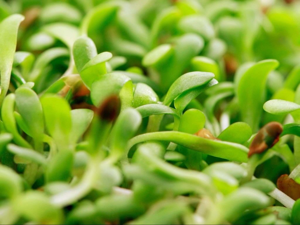 מחשבות על ניקוי&nbsp;אביב