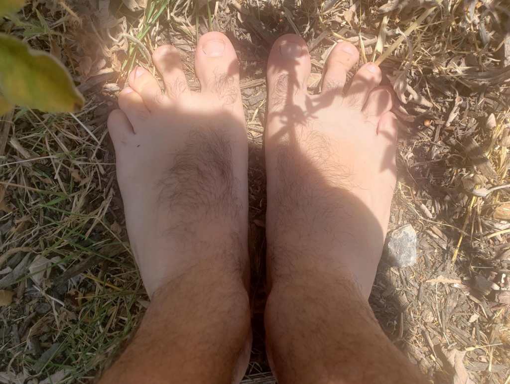 התקרקעות – למה זה טוב ואיך עושים את זה