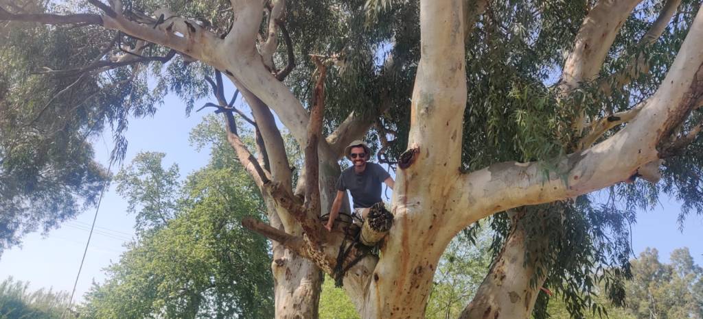 איך להרגיע חרדה ולחץ?