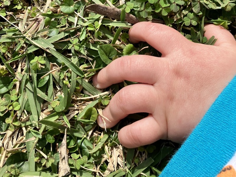 "פיסת האדמה שהצילה אותי בחופשת&nbsp;הלידה"