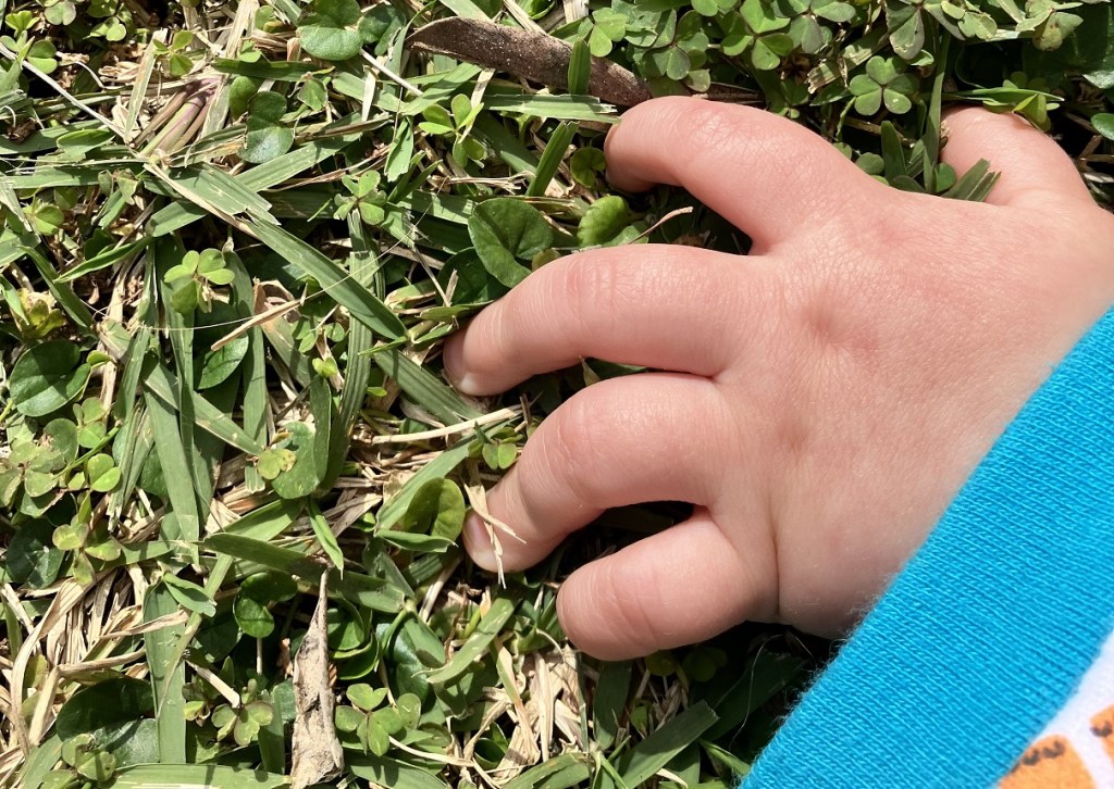 "פיסת האדמה שהצילה אותי בחופשת&nbsp;הלידה"